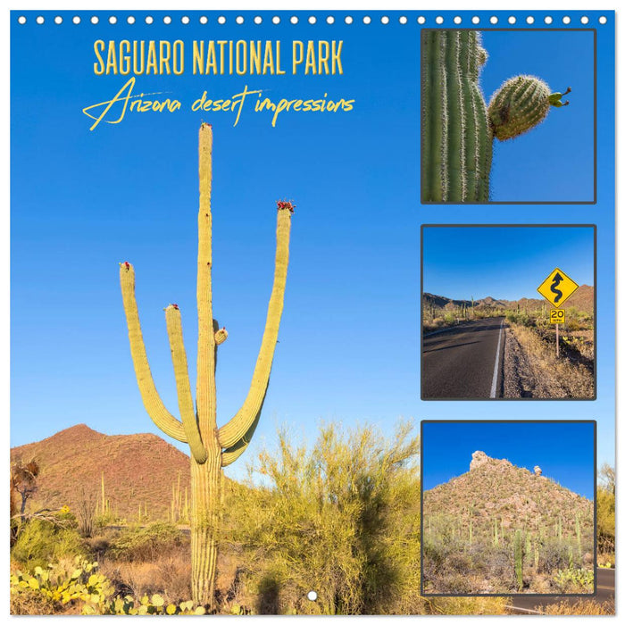 SAGUARO NATIONAL PARK Arizona desert impressions (CALVENDO Monthly Calendar 2025)