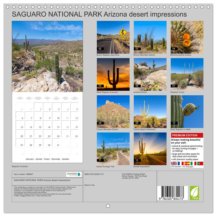 SAGUARO NATIONAL PARK Arizona desert impressions (CALVENDO Monthly Calendar 2025)