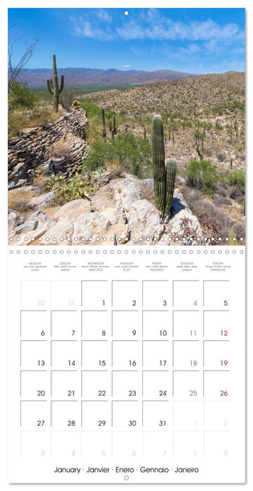 SAGUARO NATIONAL PARK Arizona desert impressions (CALVENDO Monthly Calendar 2025)