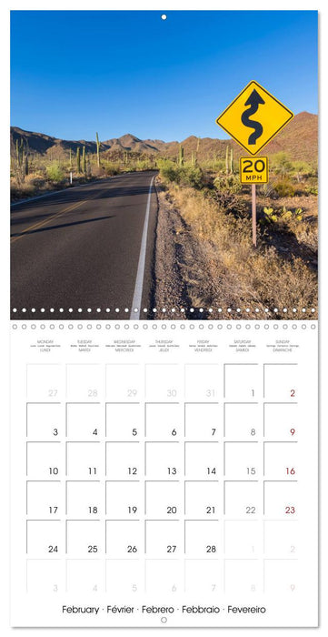 SAGUARO NATIONAL PARK Arizona desert impressions (CALVENDO Monthly Calendar 2025)