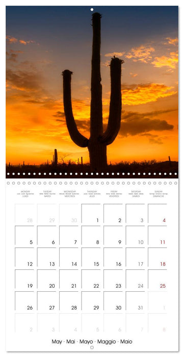 SAGUARO NATIONAL PARK Arizona desert impressions (CALVENDO Monthly Calendar 2025)