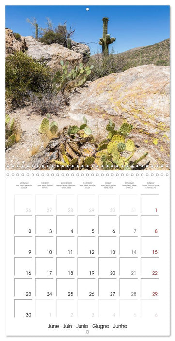 SAGUARO NATIONAL PARK Arizona desert impressions (CALVENDO Monthly Calendar 2025)