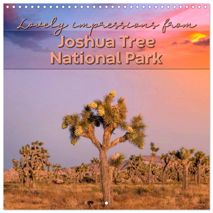 Lovely impressions from Joshua Tree National Park (CALVENDO Monthly Calendar 2025)