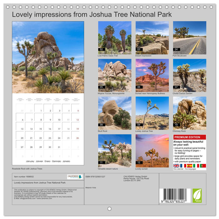 Lovely impressions from Joshua Tree National Park (CALVENDO Monthly Calendar 2025)