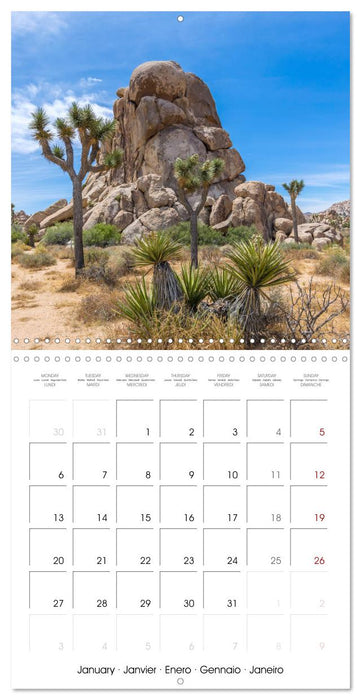 Lovely impressions from Joshua Tree National Park (CALVENDO Monthly Calendar 2025)