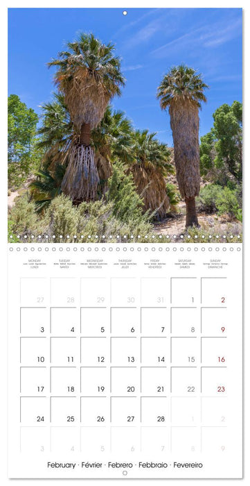 Lovely impressions from Joshua Tree National Park (CALVENDO Monthly Calendar 2025)