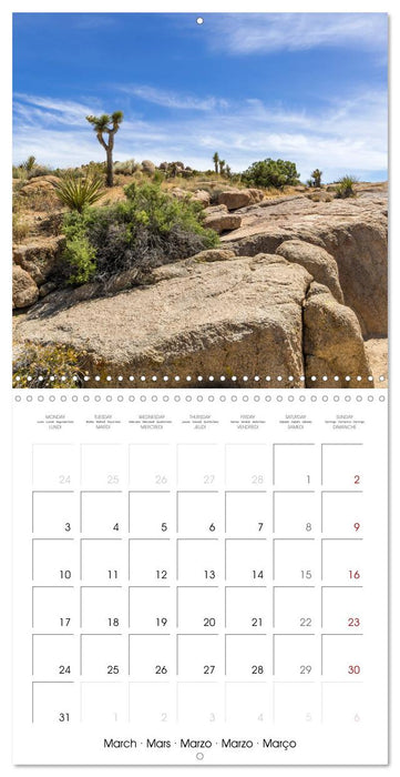 Lovely impressions from Joshua Tree National Park (CALVENDO Monthly Calendar 2025)