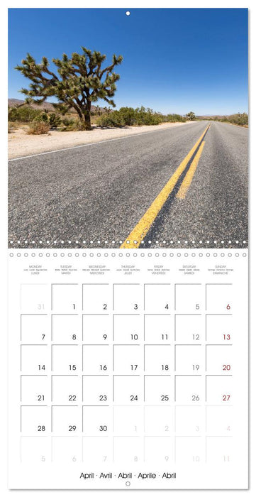 Lovely impressions from Joshua Tree National Park (CALVENDO Monthly Calendar 2025)