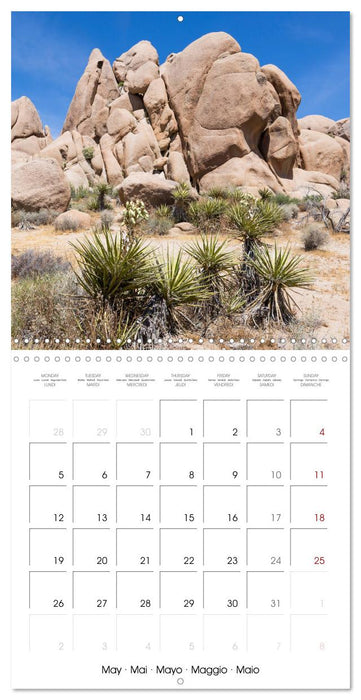 Lovely impressions from Joshua Tree National Park (CALVENDO Monthly Calendar 2025)