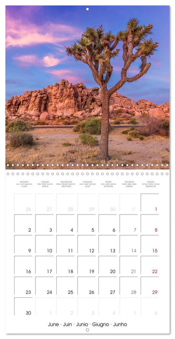 Lovely impressions from Joshua Tree National Park (CALVENDO Monthly Calendar 2025)