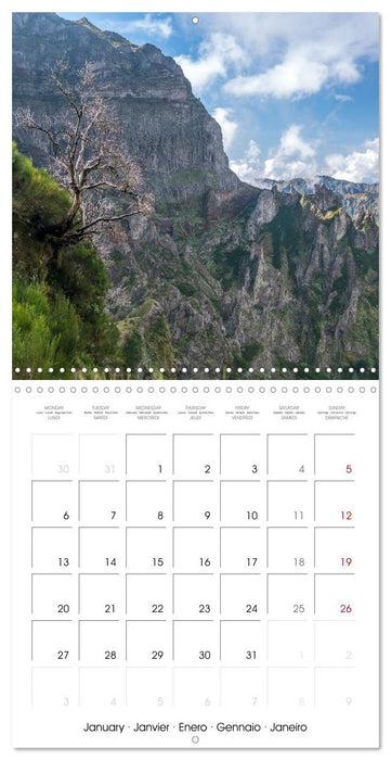 Portugal - Madeira (CALVENDO Monthly Calendar 2025)