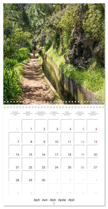 Portugal - Madeira (CALVENDO Monthly Calendar 2025)