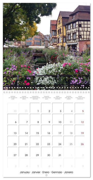 France Alsace (CALVENDO Monthly Calendar 2025)