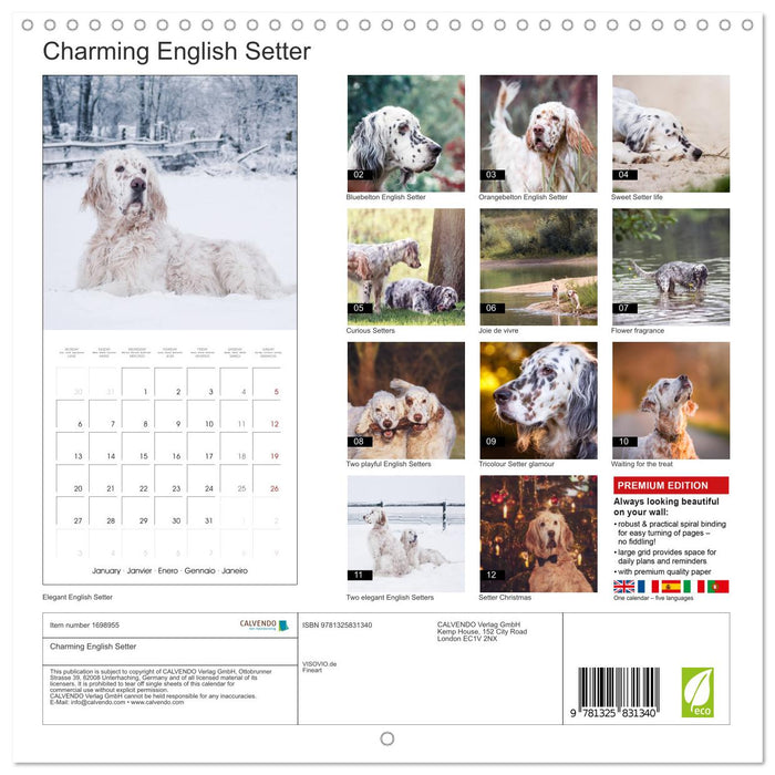 Charming English Setter (CALVENDO Monthly Calendar 2025)