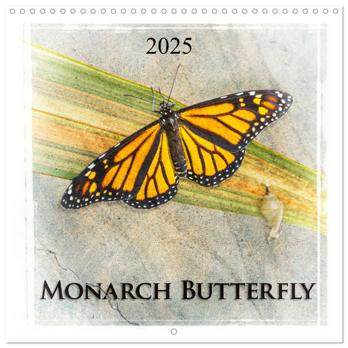 Monarch Butterfly (CALVENDO Monthly Calendar 2025)