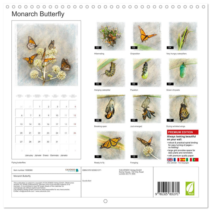 Monarch Butterfly (CALVENDO Monthly Calendar 2025)