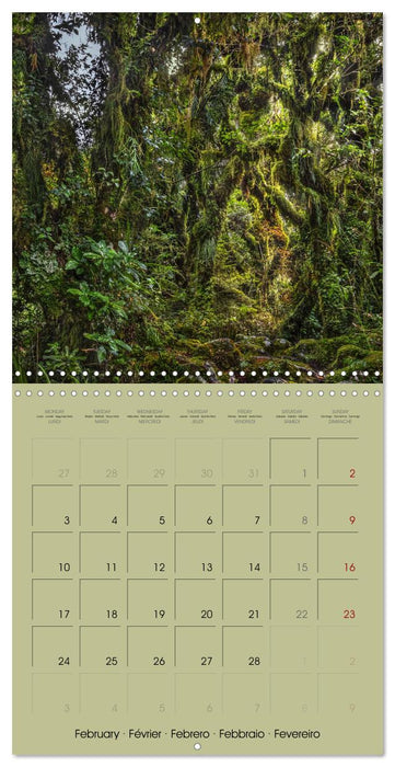 New Zealand, Islands Of Dreams (CALVENDO Monthly Calendar 2025)