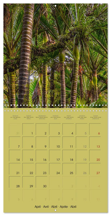 New Zealand, Islands Of Dreams (CALVENDO Monthly Calendar 2025)