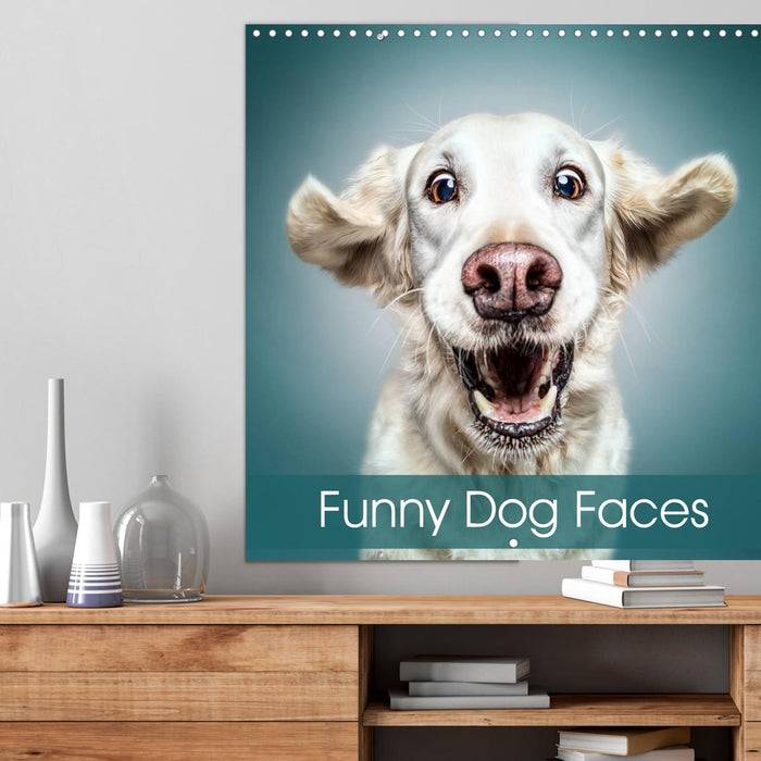 Funny Dog Faces (CALVENDO Monthly Calendar 2025)