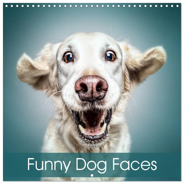 Funny Dog Faces (CALVENDO Monthly Calendar 2025)