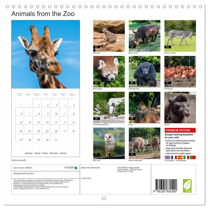 Animals from the Zoo (CALVENDO Monthly Calendar 2025)