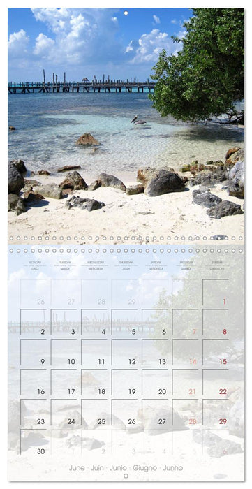 Caribbean Island of Women - Isla Mujeres (CALVENDO Monthly Calendar 2025)