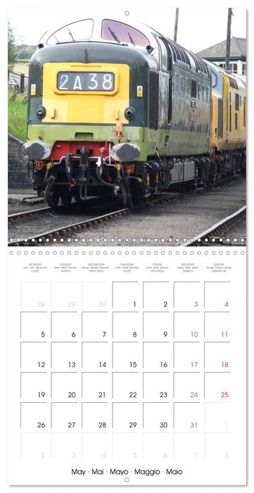 DIESELS (CALVENDO Monthly Calendar 2025)