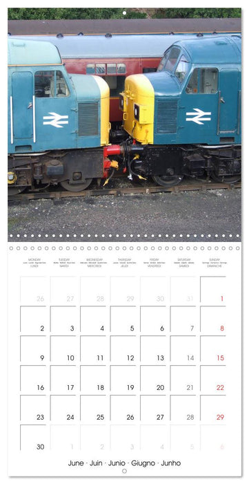 DIESELS (CALVENDO Monthly Calendar 2025)