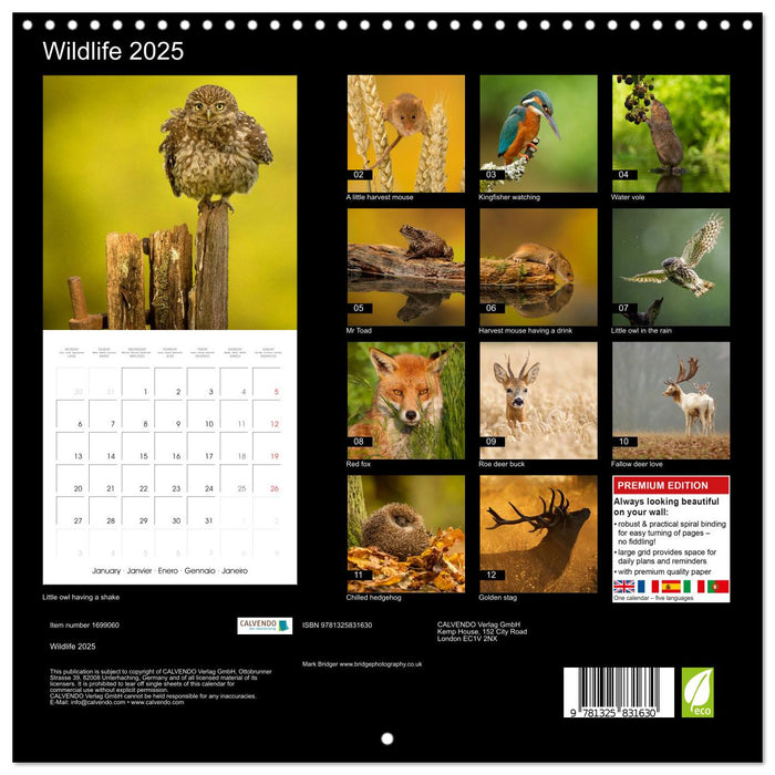 Wildlife 2025 (CALVENDO Monthly Calendar 2025)