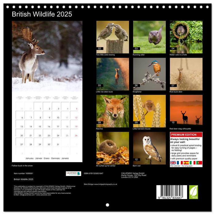 British Wildlife 2025 (CALVENDO Monthly Calendar 2025)