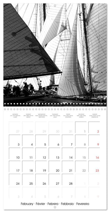 Sailing Dreams (CALVENDO Monthly Calendar 2025)