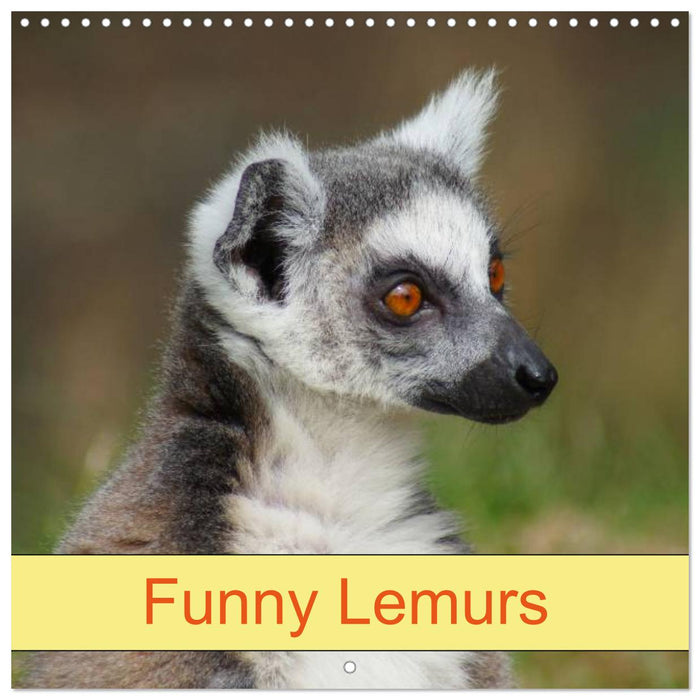 Funny Lemurs (CALVENDO Monthly Calendar 2025)