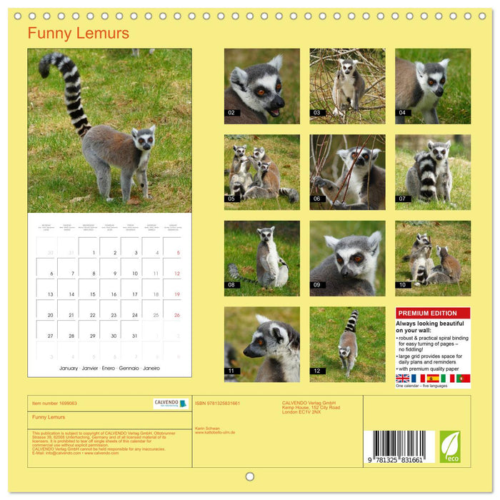 Funny Lemurs (CALVENDO Monthly Calendar 2025)