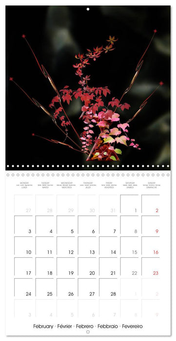 Enchanting Ikebana (CALVENDO Monthly Calendar 2025)