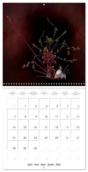 Enchanting Ikebana (CALVENDO Monthly Calendar 2025)