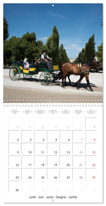 Vienna Austria (CALVENDO Monthly Calendar 2025)