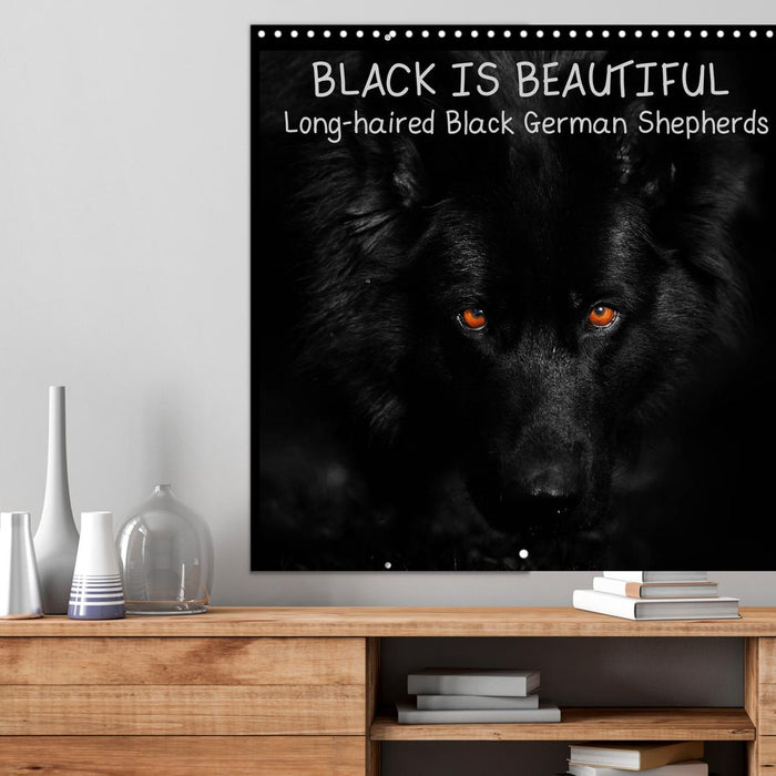 BLACK IS BEAUTIFUL Long-haired Black German Shepherds (CALVENDO Monthly Calendar 2025)