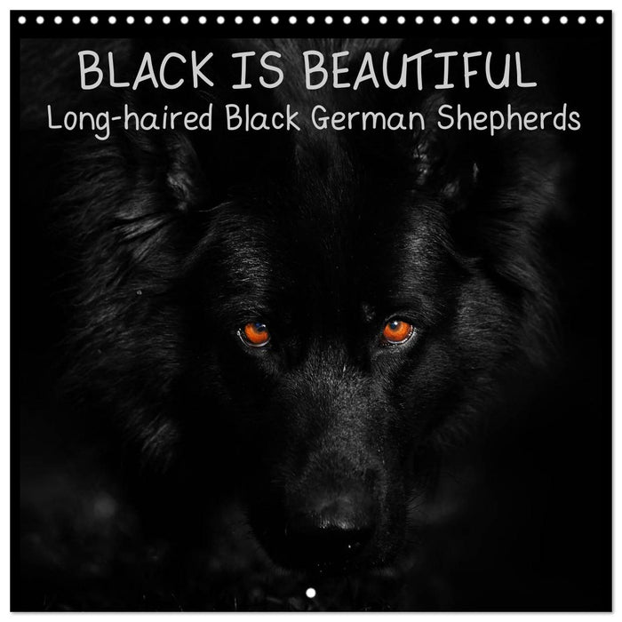 BLACK IS BEAUTIFUL Long-haired Black German Shepherds (CALVENDO Monthly Calendar 2025)