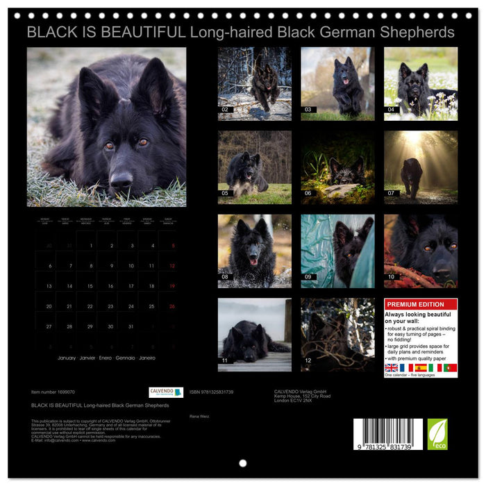 BLACK IS BEAUTIFUL Long-haired Black German Shepherds (CALVENDO Monthly Calendar 2025)