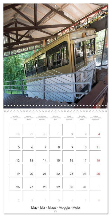 Swiss Trains (CALVENDO Monthly Calendar 2025)