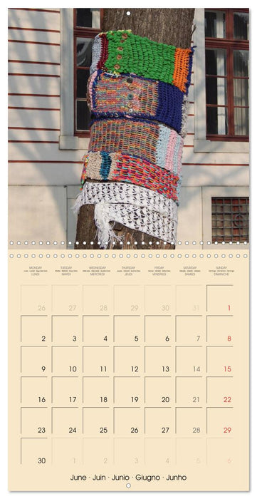 Urban Knitting (CALVENDO Monthly Calendar 2025)