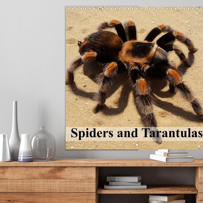 Spiders and Tarantulas (CALVENDO Monthly Calendar 2025)