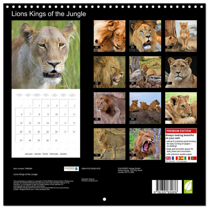 Lions Kings of the Jungle (CALVENDO Monthly Calendar 2025)