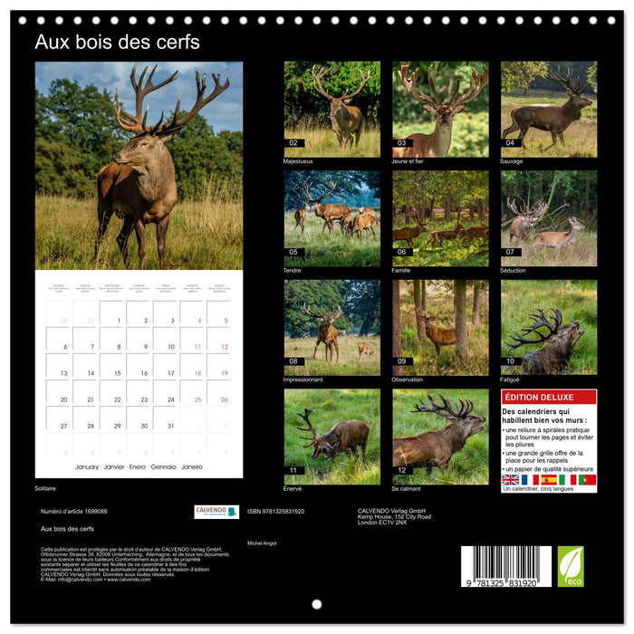 Aux bois des cerfs (CALVENDO Calendrier mensuel 2025)