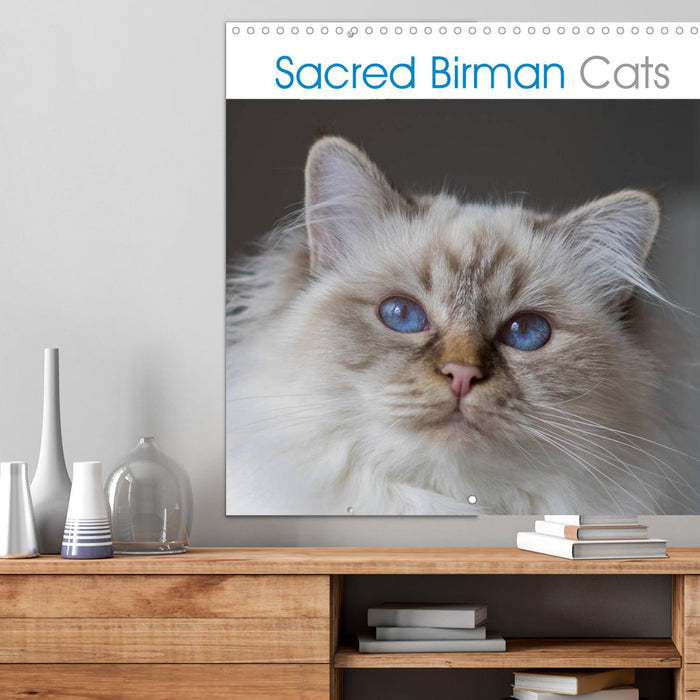 Sacred Birman Cats (CALVENDO Monthly Calendar 2025)