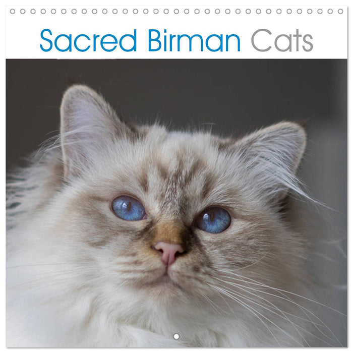 Sacred Birman Cats (CALVENDO Monthly Calendar 2025)