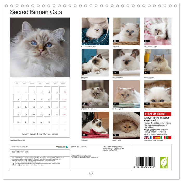 Sacred Birman Cats (CALVENDO Monthly Calendar 2025)