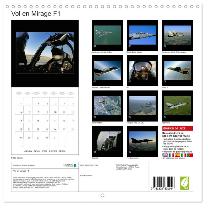 Vol en Mirage F1 (CALVENDO Calendrier mensuel 2025)