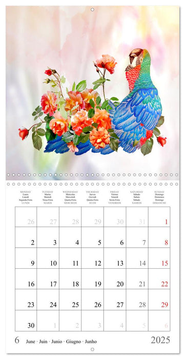 Parrots and Roses (CALVENDO Monthly Calendar 2025)