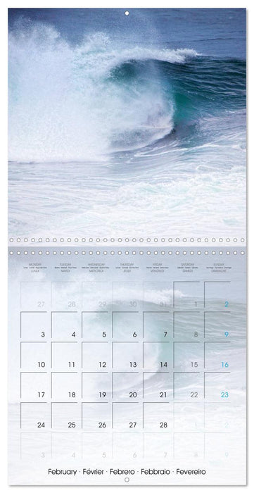 Surfing Passion (CALVENDO Monthly Calendar 2025)